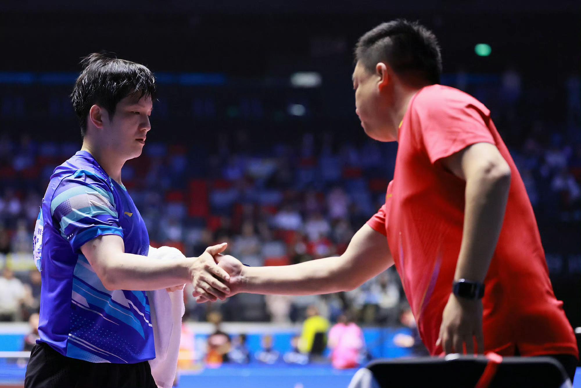 瑞典队完胜英格兰队，樊振东点燃赛场