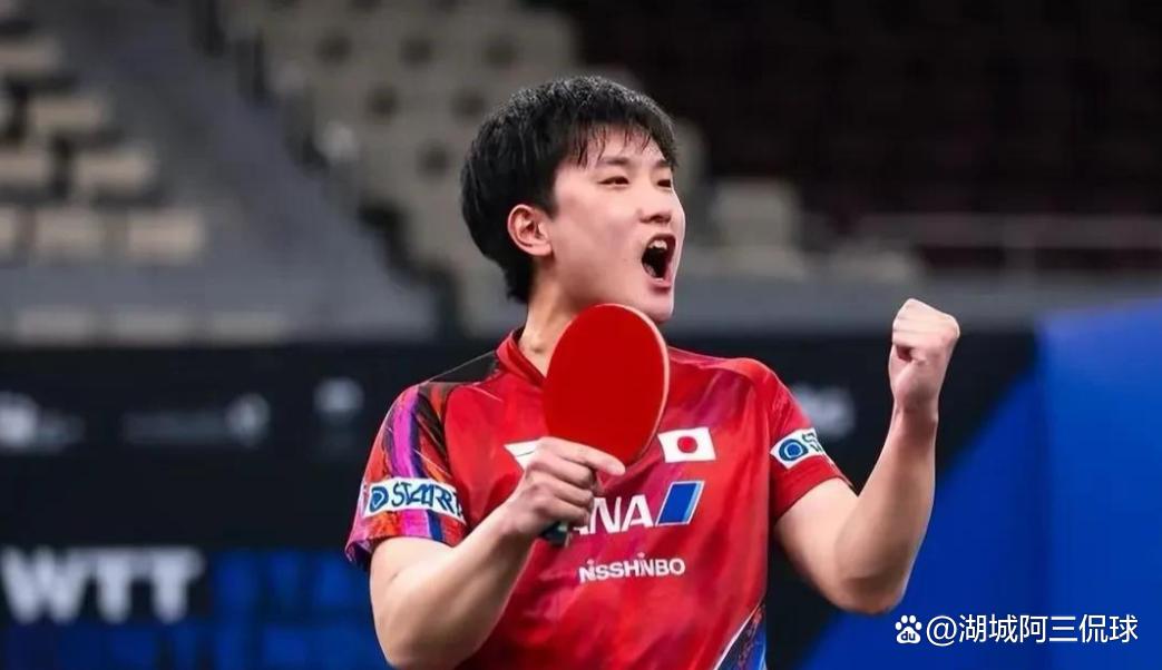 波兰队轻取日本队，张本智和状态火热