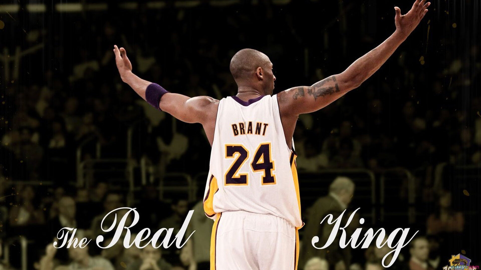 雷速下载-冰封麦迪逊，伦纳德一剑封喉，尼克斯主场憾负爵士